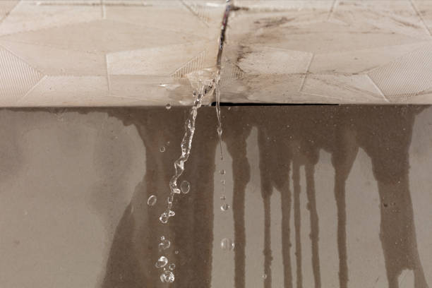 Professional Burst Pipe Cleanup technician working in Dundee, NY